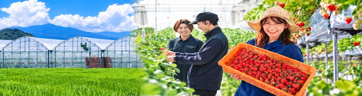 渡辺パイプ株式会社