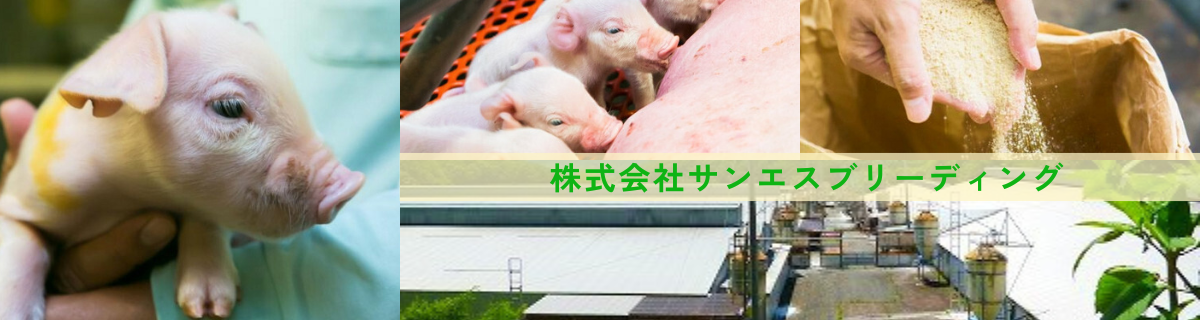 株式会社サンエスブリーディング