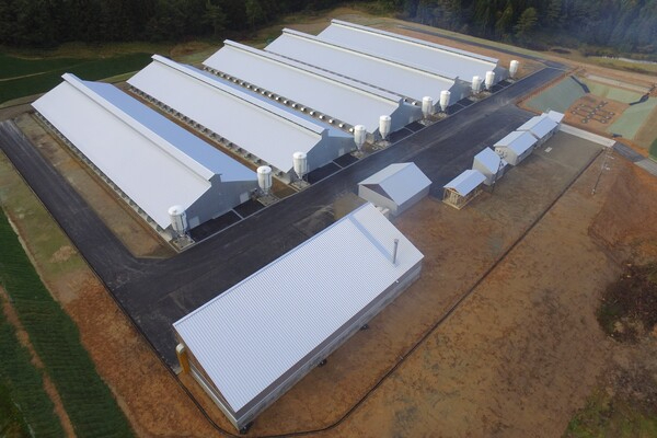 【ニッポンハムグループ】日本ホワイトファーム株式会社