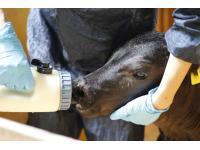 有限会社広野牧場