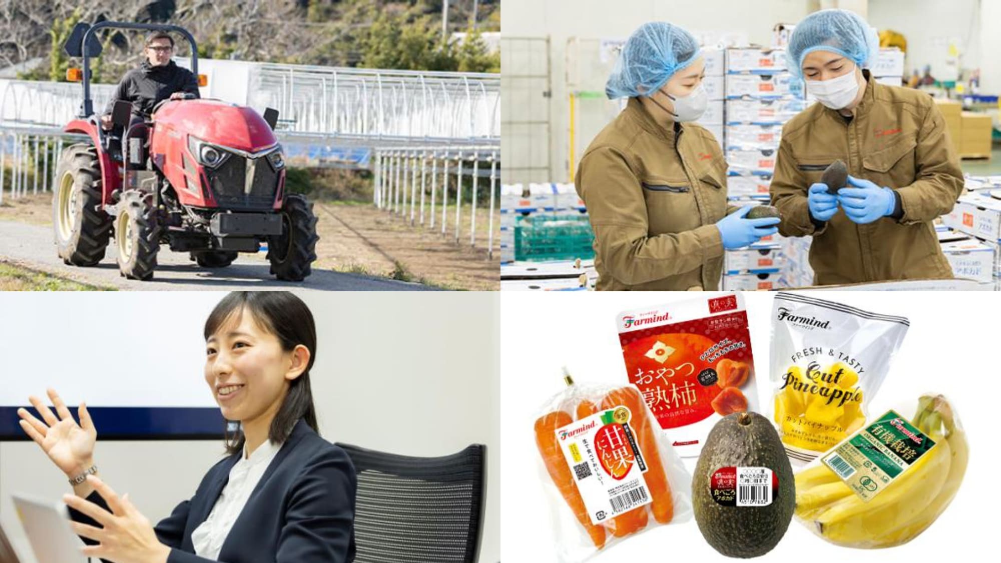 株式会社ファーマインド      