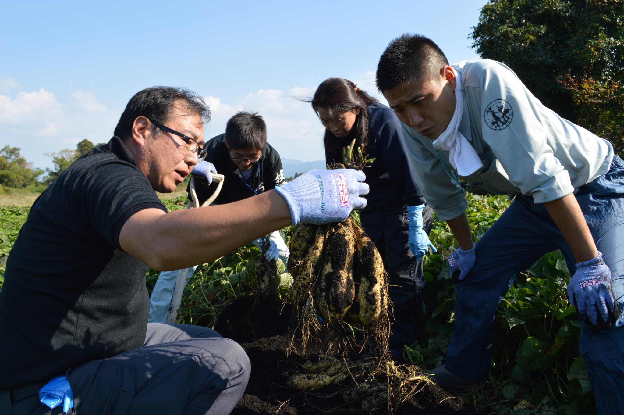 アグロ カネショウ株式会社