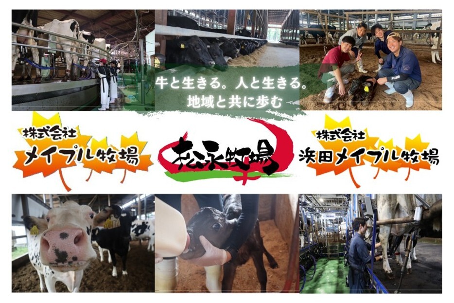 松永牧場グループ（（株）松永牧場・（株)メイプル牧場・（株）浜田メイプル牧場）