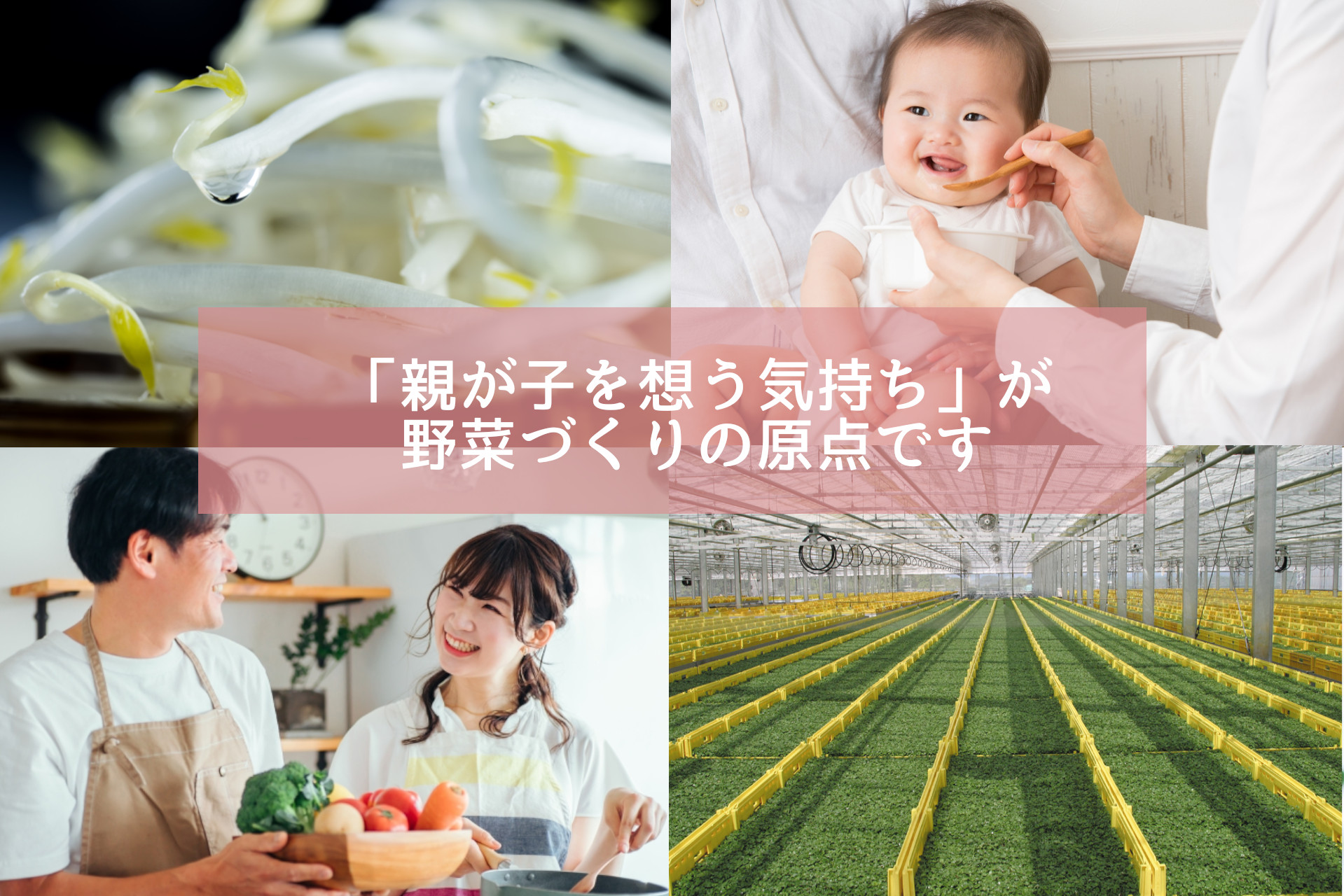 株式会社サラダコスモ