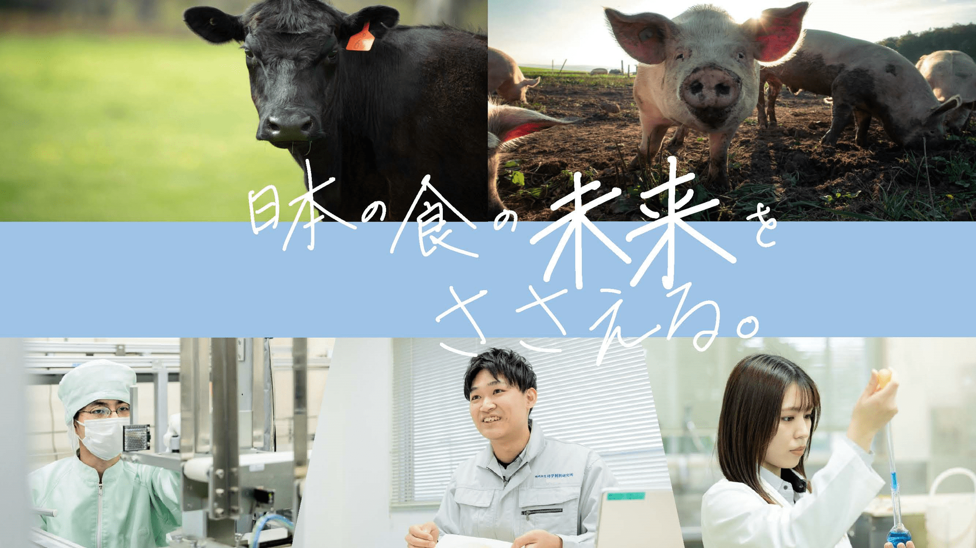 株式会社科学飼料研究所