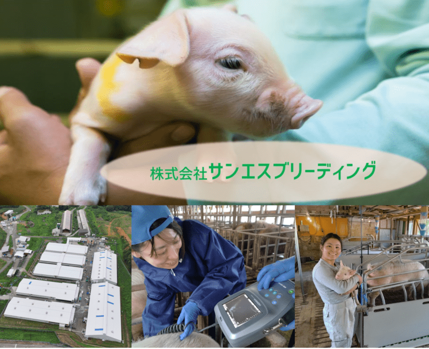 株式会社サンエスブリーディング