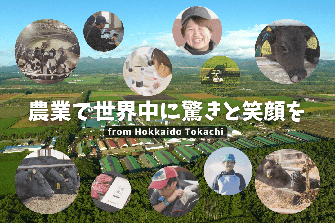 ノベルズグループ（株式会社ノベルズ）